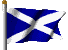(Scottish Flag)
